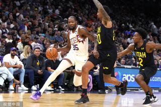 都进行了细 都进行了细